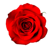 A rose by any other  name may smell as sweet, but an ebook,